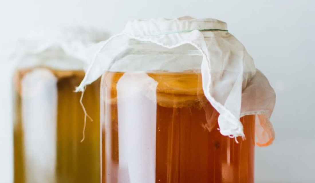 The Timeless Benefits of Fermented Foods for Gut Health