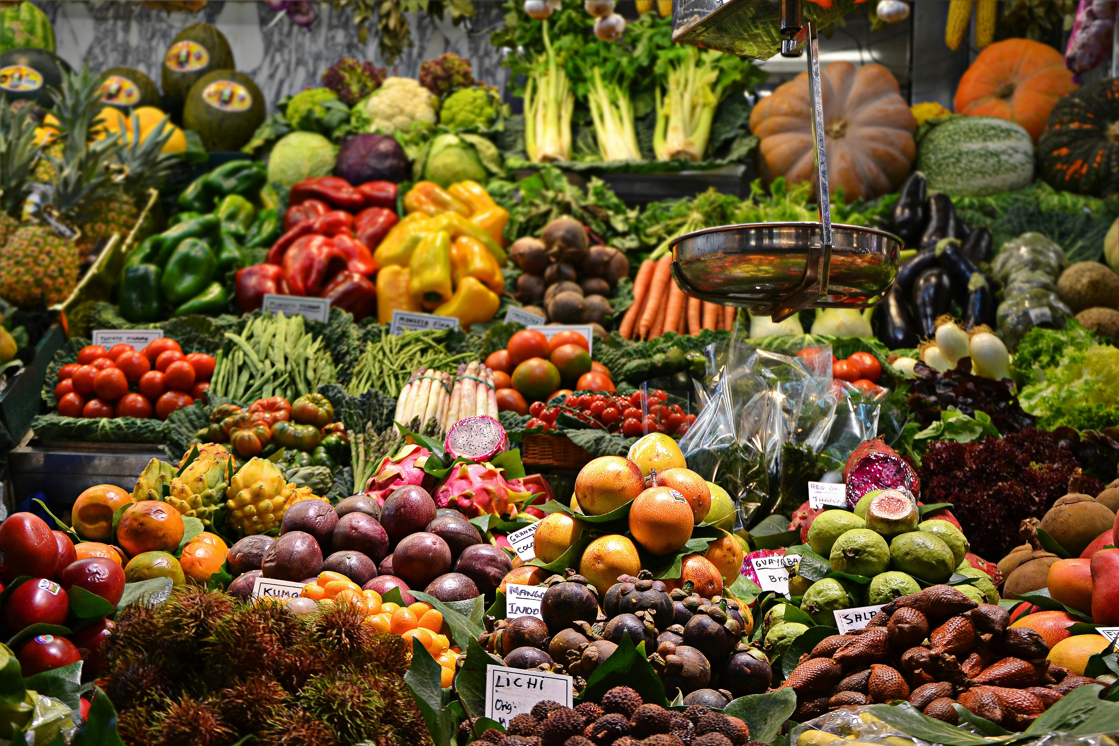 Embarking on a Nutritional Expedition: Revealing the Marvels of Human Nutrition